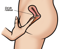 comment poser le diaphragme efficacement?
